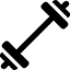 هالتر ورزشی