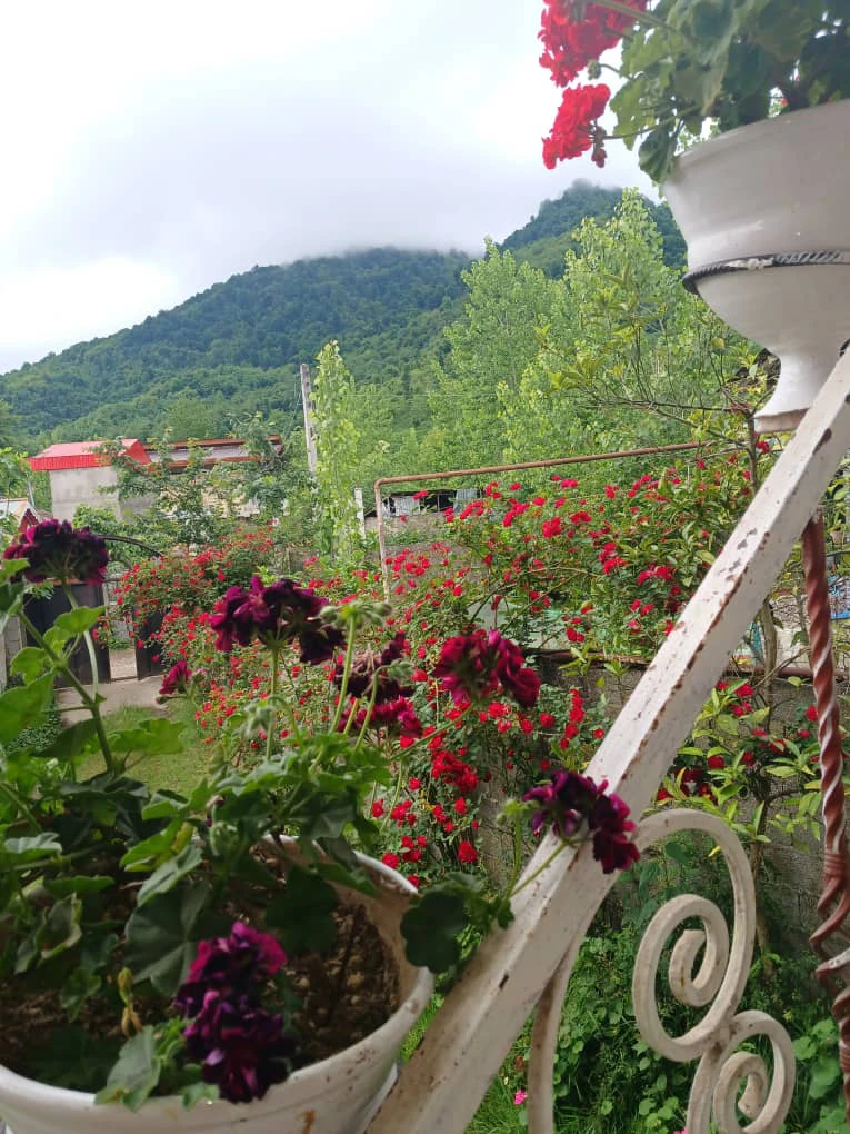 ویلای تک خواب پای کوه ماسال