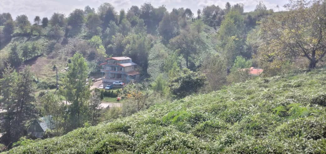 واحد تک خواب نیروشم لاهیجان
