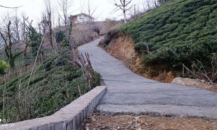 ویلای جنگلی امیدی فومن