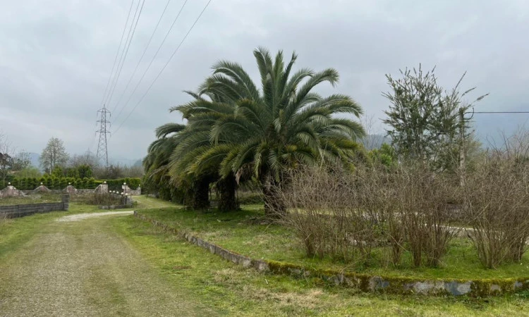 ویلا روستایی سلمانشهر