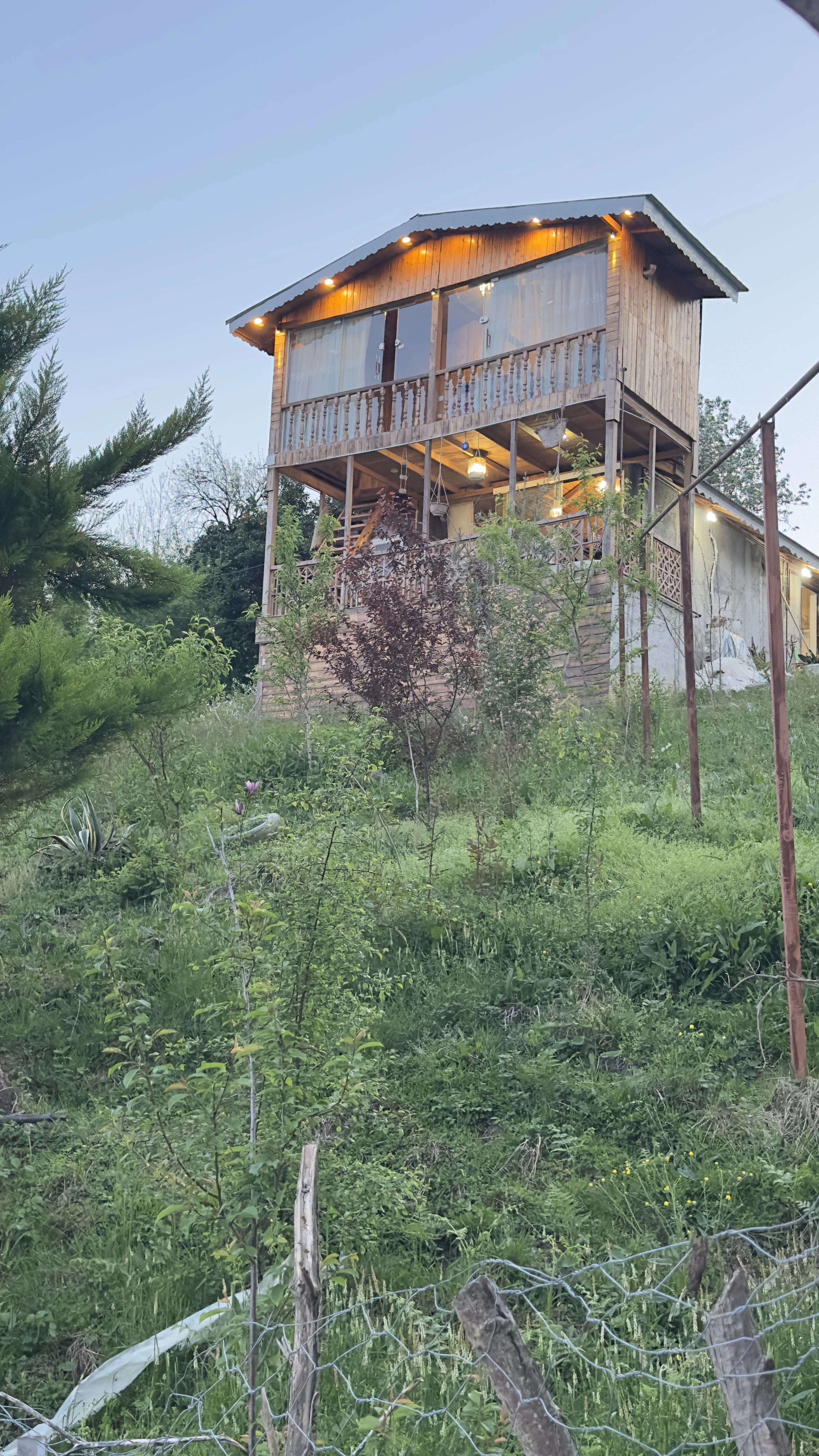 کلبه چوبی جنگلی