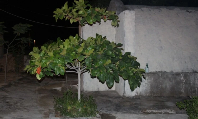بوم گردی مدالی قشم (اتاق 7 نفره)