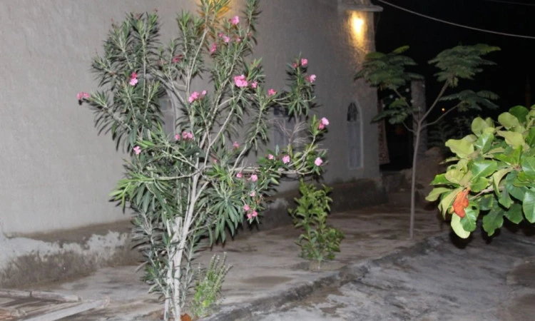 بوم گردی مدالی قشم (اتاق 7 نفره)