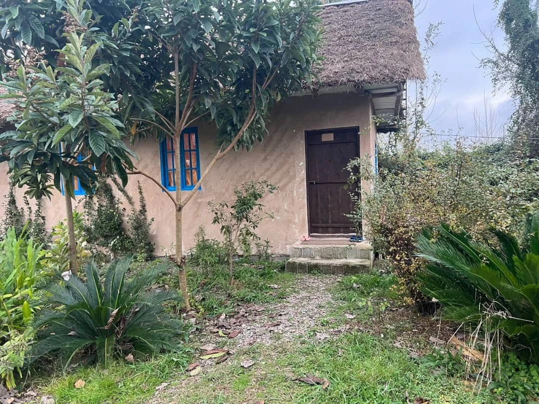 کلبه لوتکا رشت