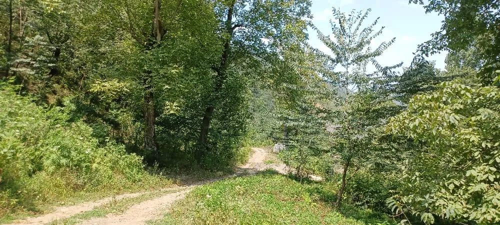 کلبه جکوزی دار کیان